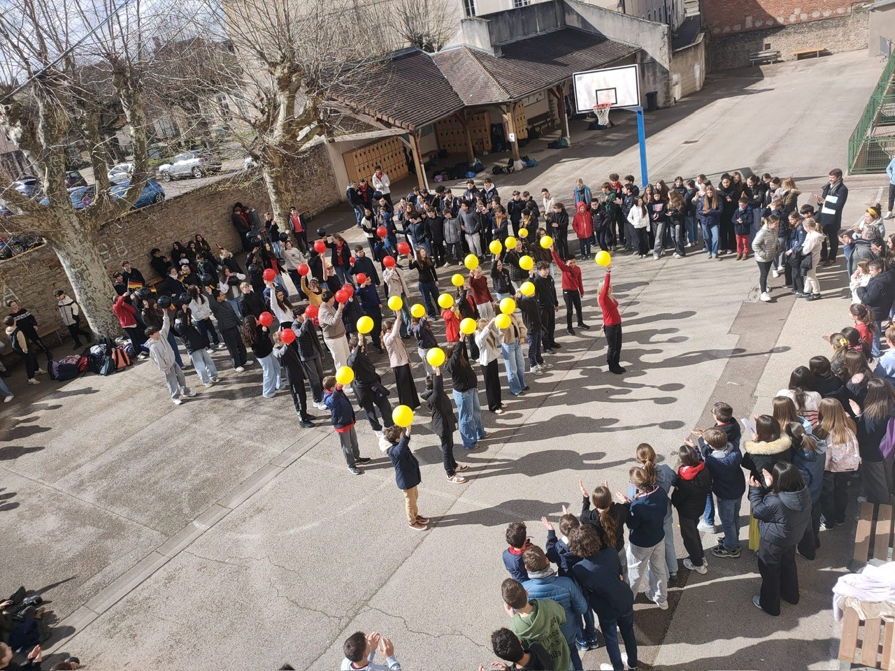 a4881f3d-b510-46a0-be7f-873b155501d9